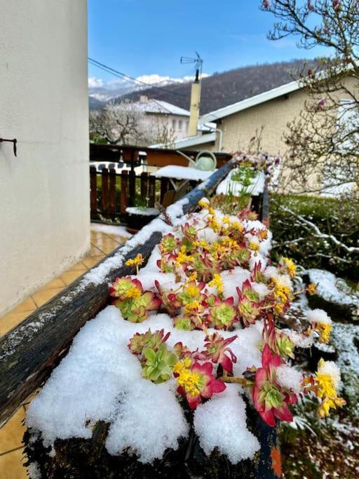 La Terrasse Du Fourcat Apartman Saint-Paul-de-Jarrat Kültér fotó